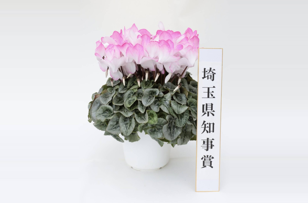 ギャラリー写真1