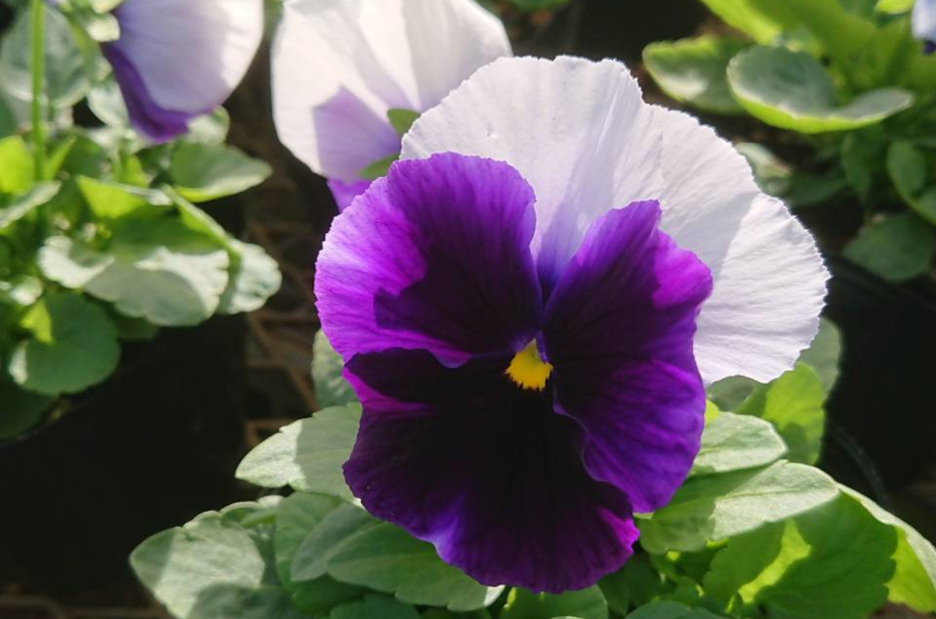 ギャラリー写真2