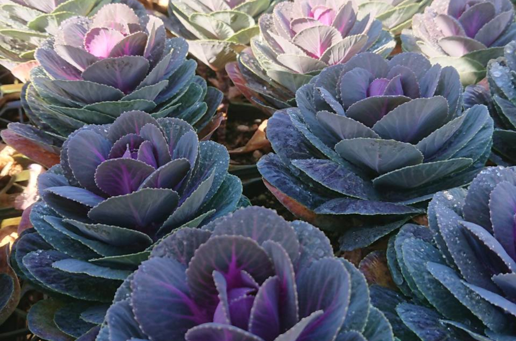 ギャラリー写真3