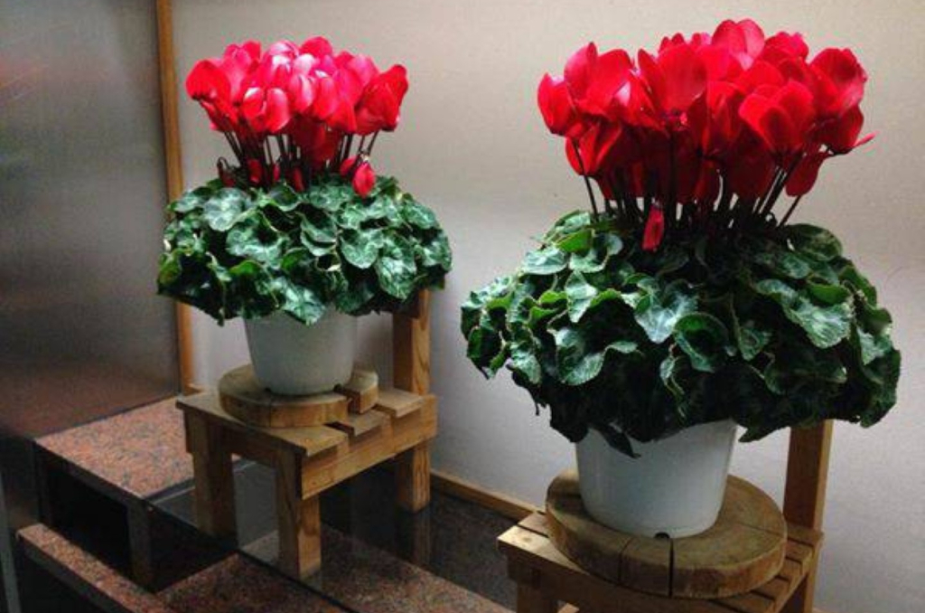 ギャラリー写真4