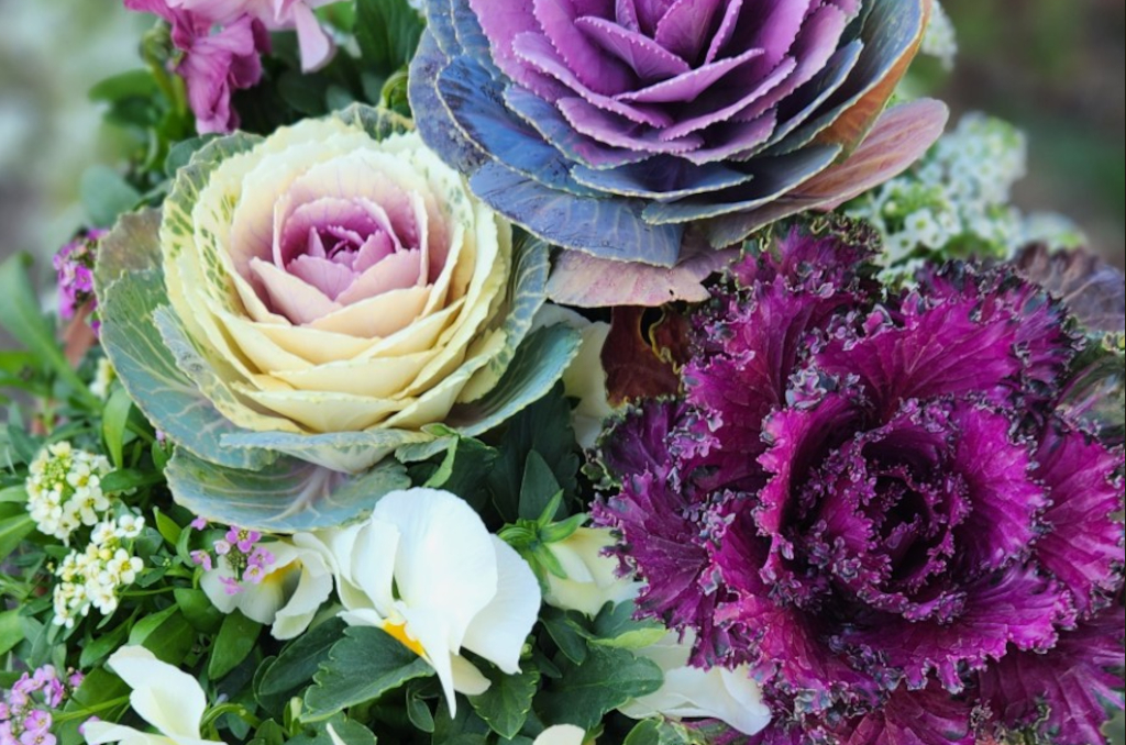 ギャラリー写真5