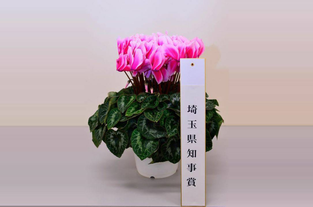 ギャラリー写真7