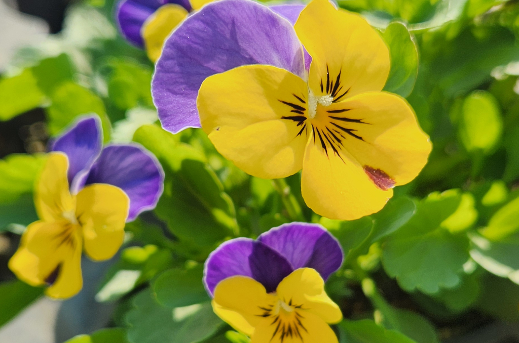 ギャラリー写真8