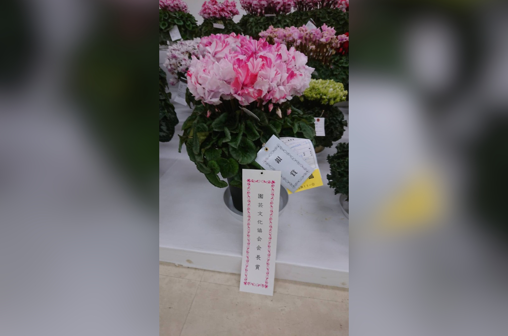 ギャラリー写真9